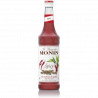 Sirop MONIN Iute (Spicy)