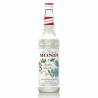Sirop MONIN de Menta Glaciala (Frosted Mint)