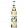 Sirop MONIN de Pepene Galben (Melon)