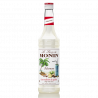 Sirop MONIN Falernum