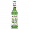 Sirop MONIN de Banane verzi (Green Bananas)