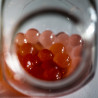 Perle de zmeură pentru Bubble tea (Raspberry Popping Boba) 3,2 kg
