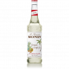 Sirop MONIN Curaçao Triplu Sec (Triple Sec)