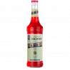 Sirop MONIN Bitter (Biter)