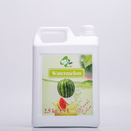 Sirop de Pepene Verde pt Bubble tea (watermelon syrup) 1,9 L
