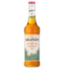 Sirop MONIN de Agave 70 cl