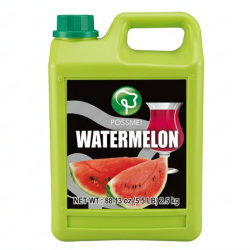 Sirop de Pepene Verde | sirop de Lubenita pt Bubble tea (watermelon syrup) 1,9 L