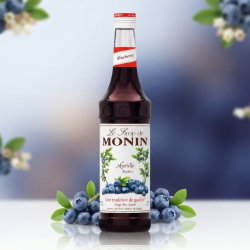 Sirop MONIN de Afine (Blueberry)