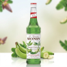 Sirop MONIN de Banane verzi (Green Bananas)