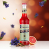 Sirop MONIN Bitter (Biter)