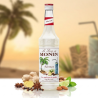 Sirop MONIN Falernum