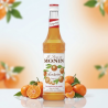 Sirop MONIN de Mandarine