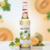 Sirop MONIN de Pepene Galben (Melon)