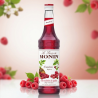 Sirop MONIN de Zmeura