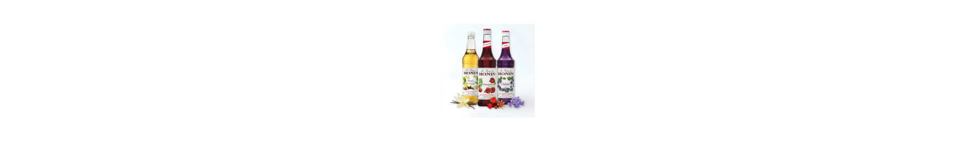 Siropuri MONIN - Le Sirop de MONIN - FULLBAR.RO